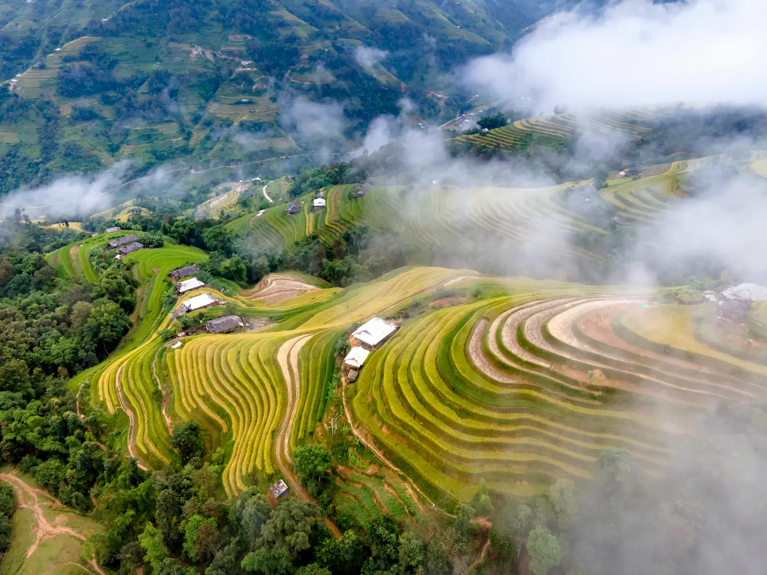Green rice terraces in the hills of Laos